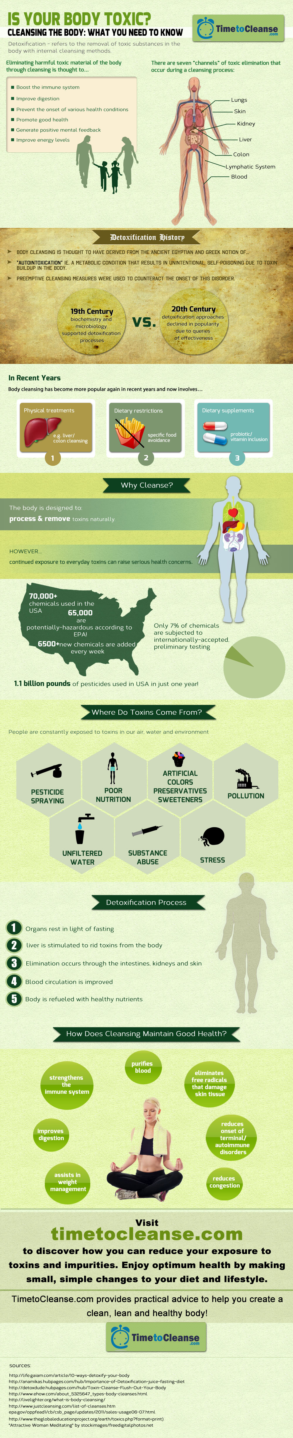 timetocleanse.com infographic