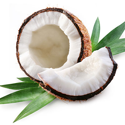 coconut oil shell