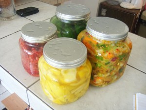 fermented foods in jars