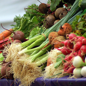 food market florida