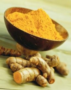 wild tumeric plant