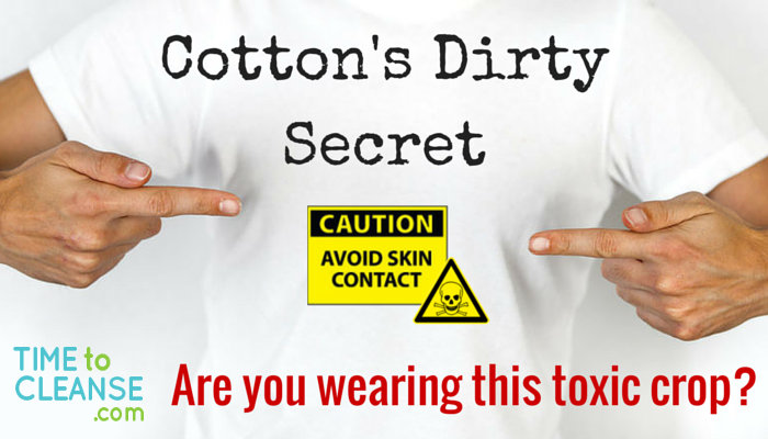 cotton secret main