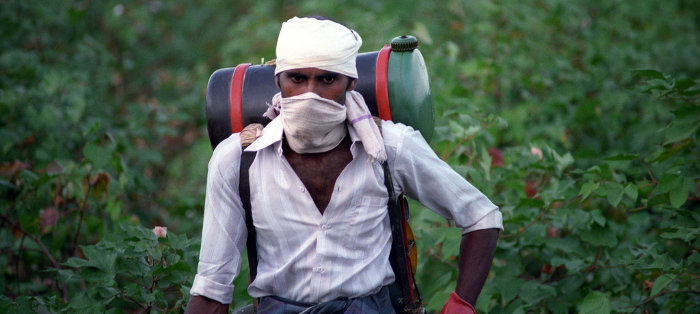 man spraying chemicals