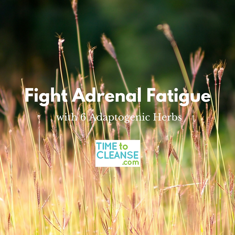 fight adrenal fatigue