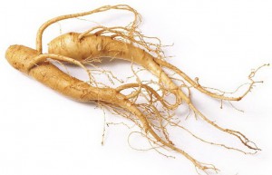 ginseng