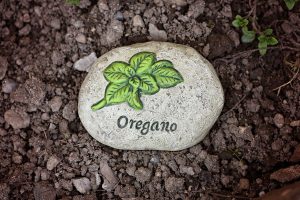 oregano in a stone