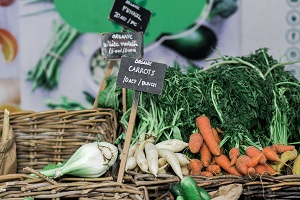 organic vegetables stand