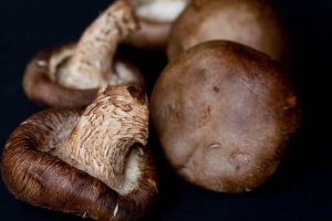 shitake mushrooms, brown