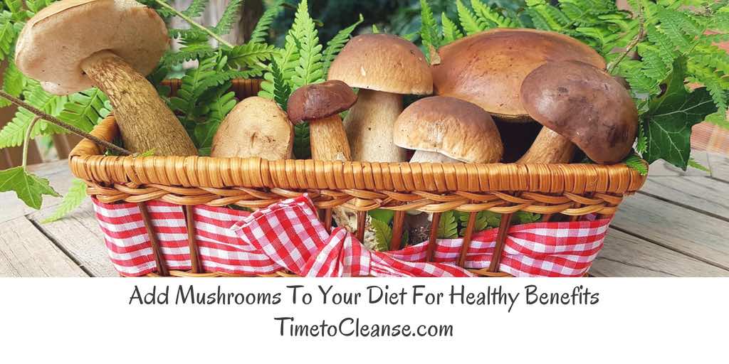 Basket of Mushrooms, red checkered cloth