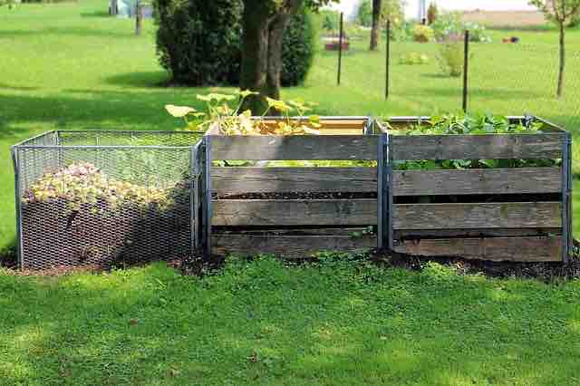 three boxes holding compost