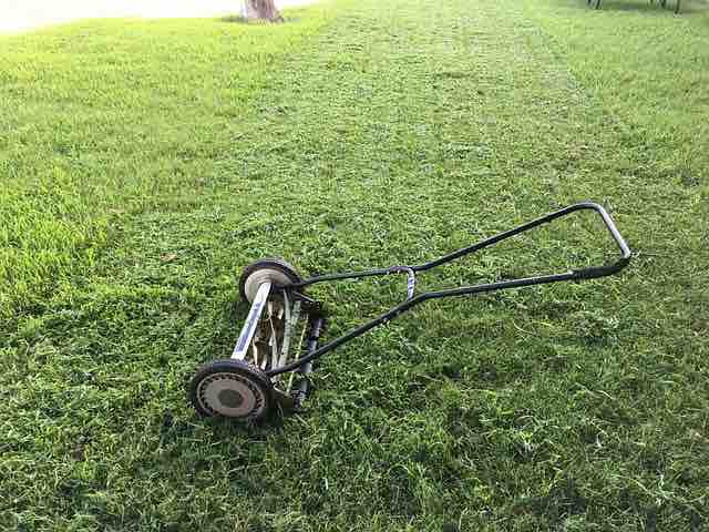 push mower and green grass