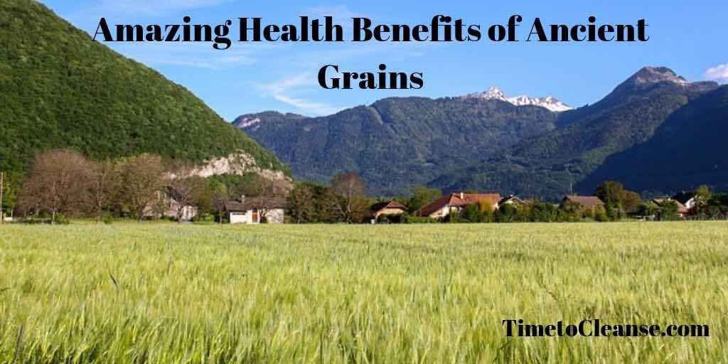 amazing health benefits of ancient grains banner across a blue sky with mountians in the background and a field of millet