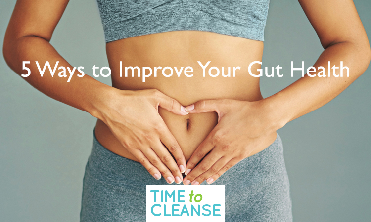 gut health