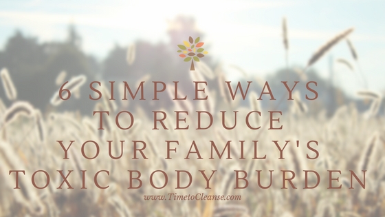 6 Simple Ways to Reduce Your Families Toxic Body Burden