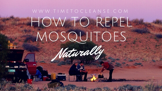 HOW TO REPEL MOSQUITOES NATURALLY