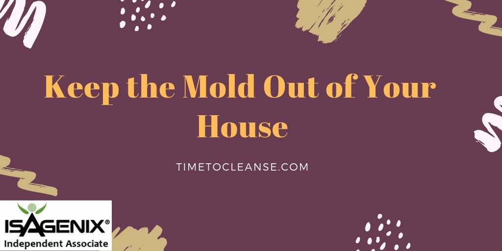 keep the mold out of your house banner