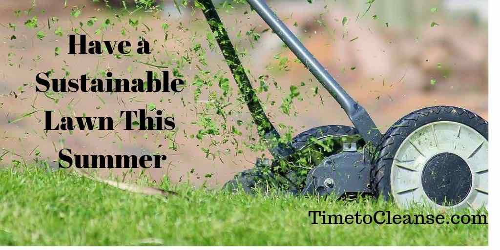 Have a sustainable lawn this summer banner over a push mower and grass